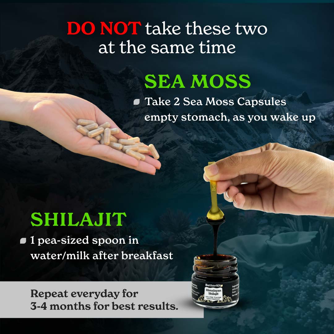 Himalayan Shilajit Resin